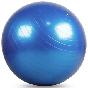 Balón de fitness Wealis: balón de estabilidad para entrenamiento de cuerpo completo.