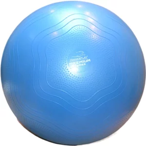 Balón de fitness PowerPlay 4000 (65 cm) con bomba
